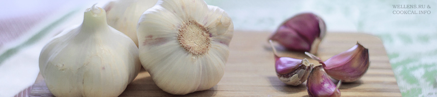 Garlic